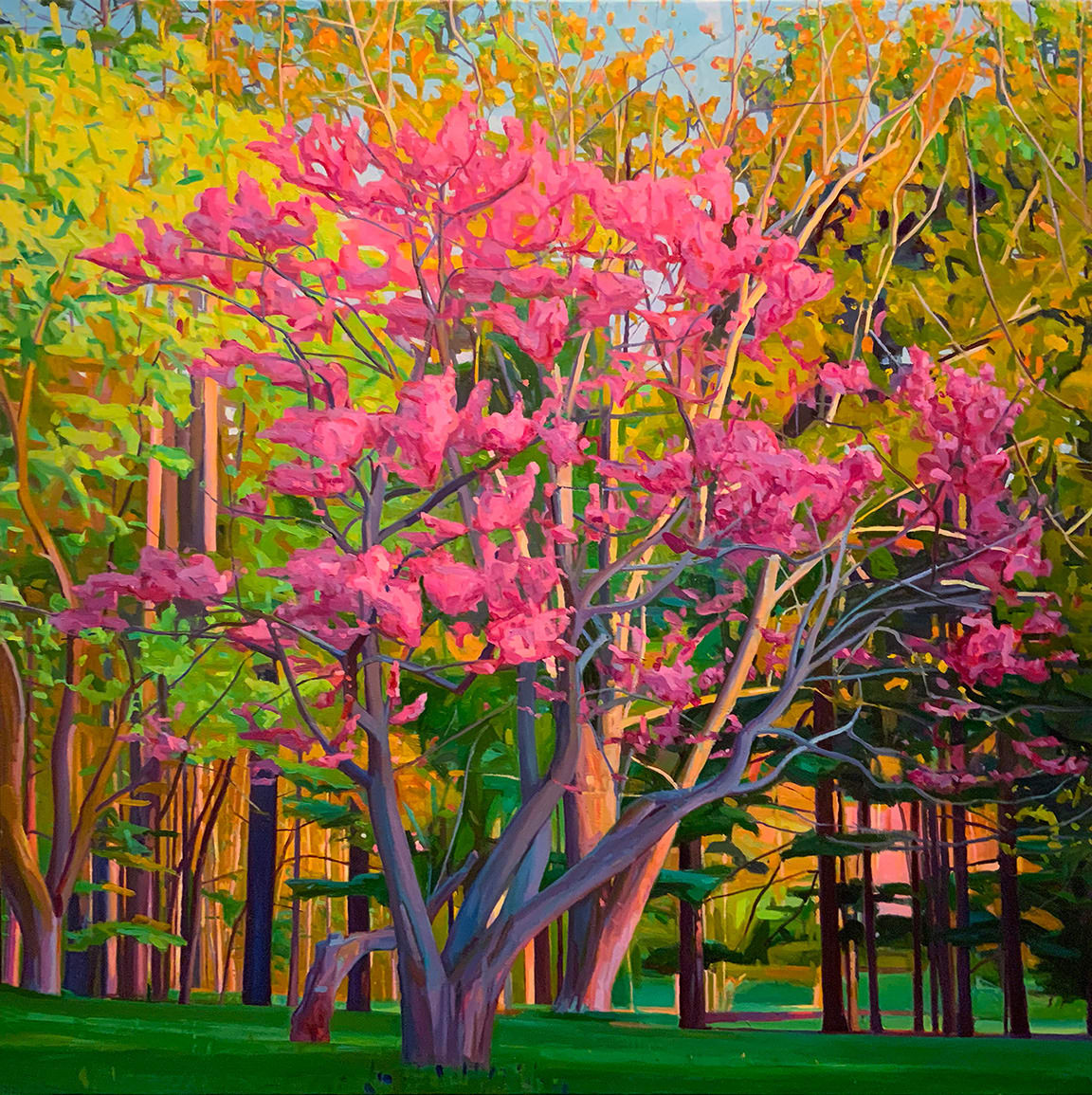 Charles Basham, RED BUD, 2022