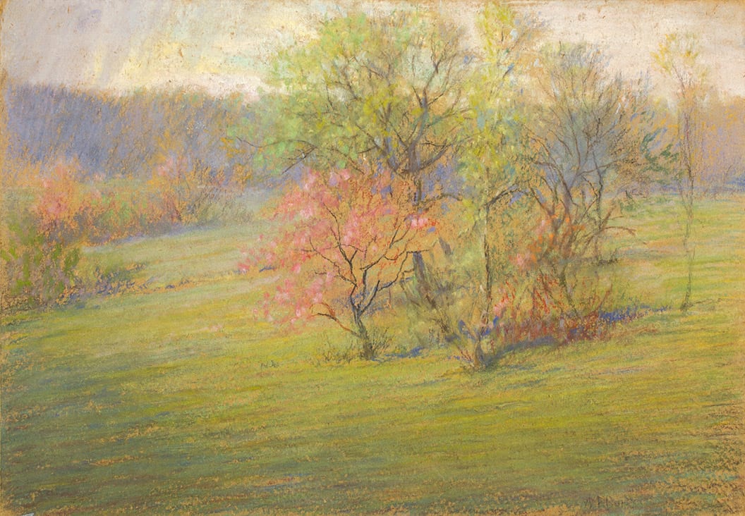 William Partridge Burpee, PINK TREE IN MIDDLE