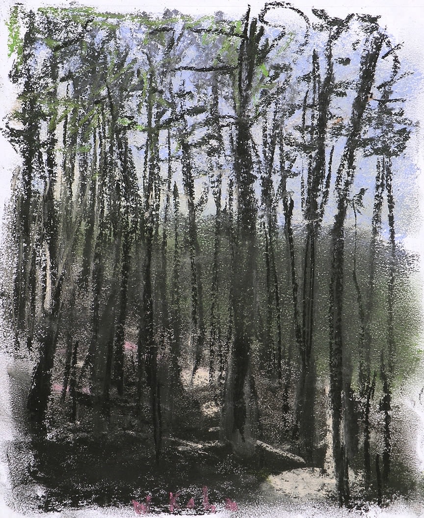 Wolf Kahn, CLUMP OF DARK PINES, 2006
