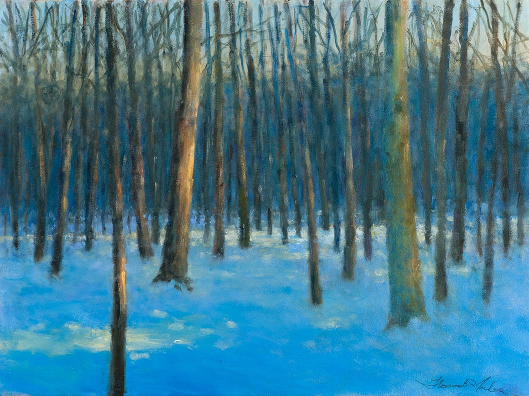 Thomas McNickle, SNOWFALL-BLUE WOODS, 2021