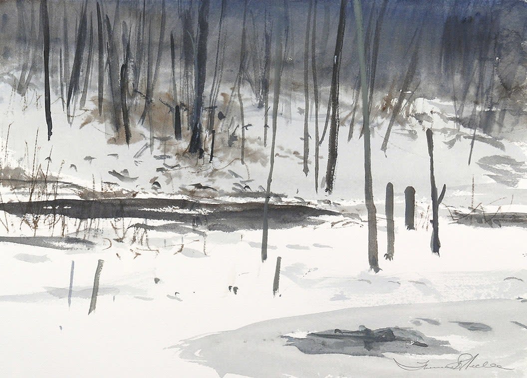 Thomas McNickle, BEAVER POND-WINTER STUDY 4, 2007