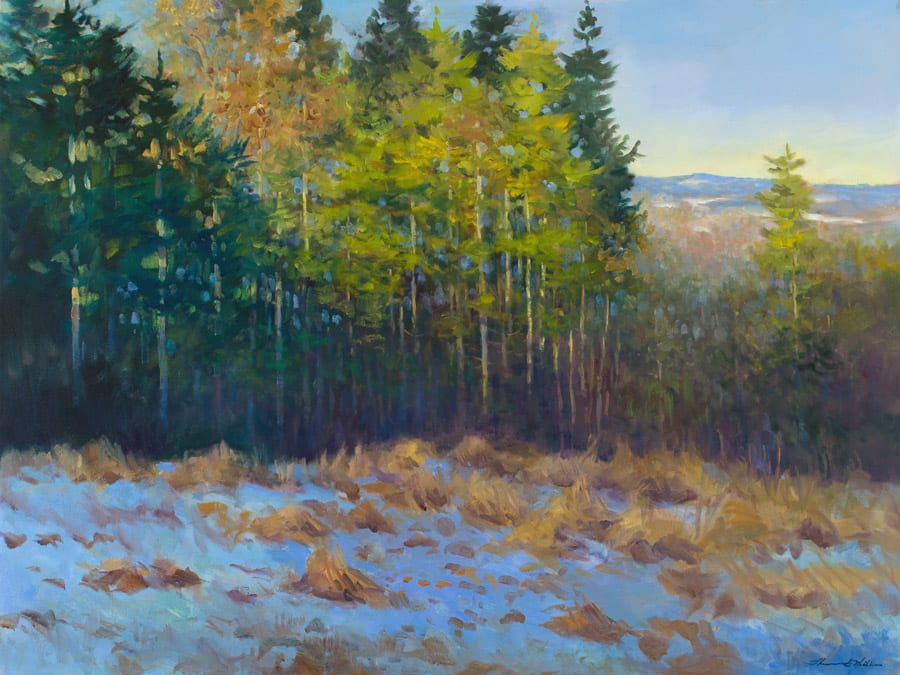 Thomas McNickle, EARLY SNOW FALL-NEAR BLOWING ROCK, 2016