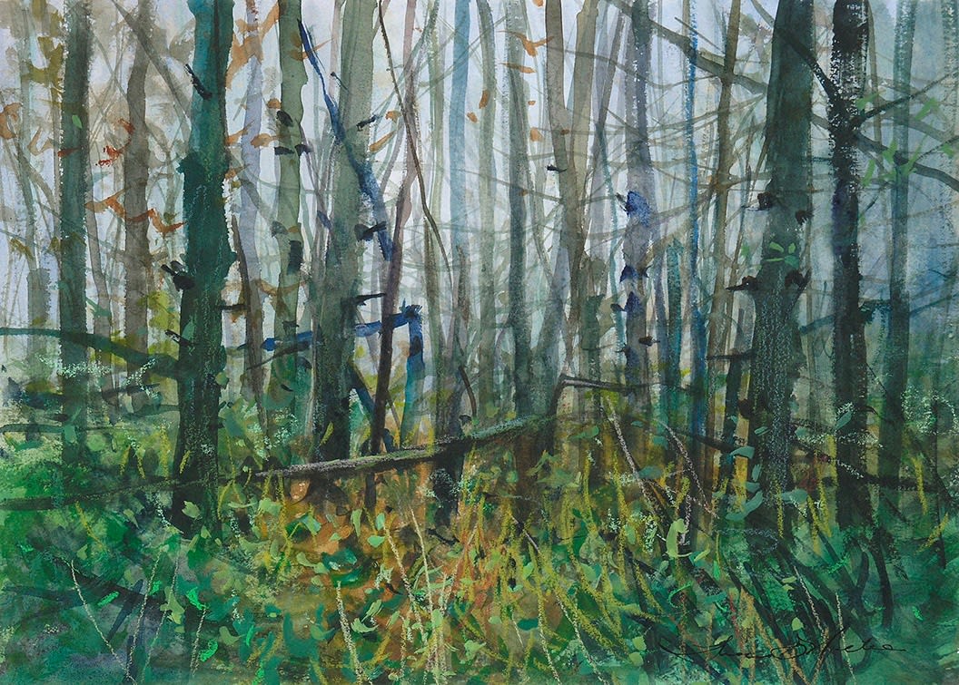 Thomas McNickle, Study for WET DAY IN UWHARRIE NATIONAL FOREST, 2009