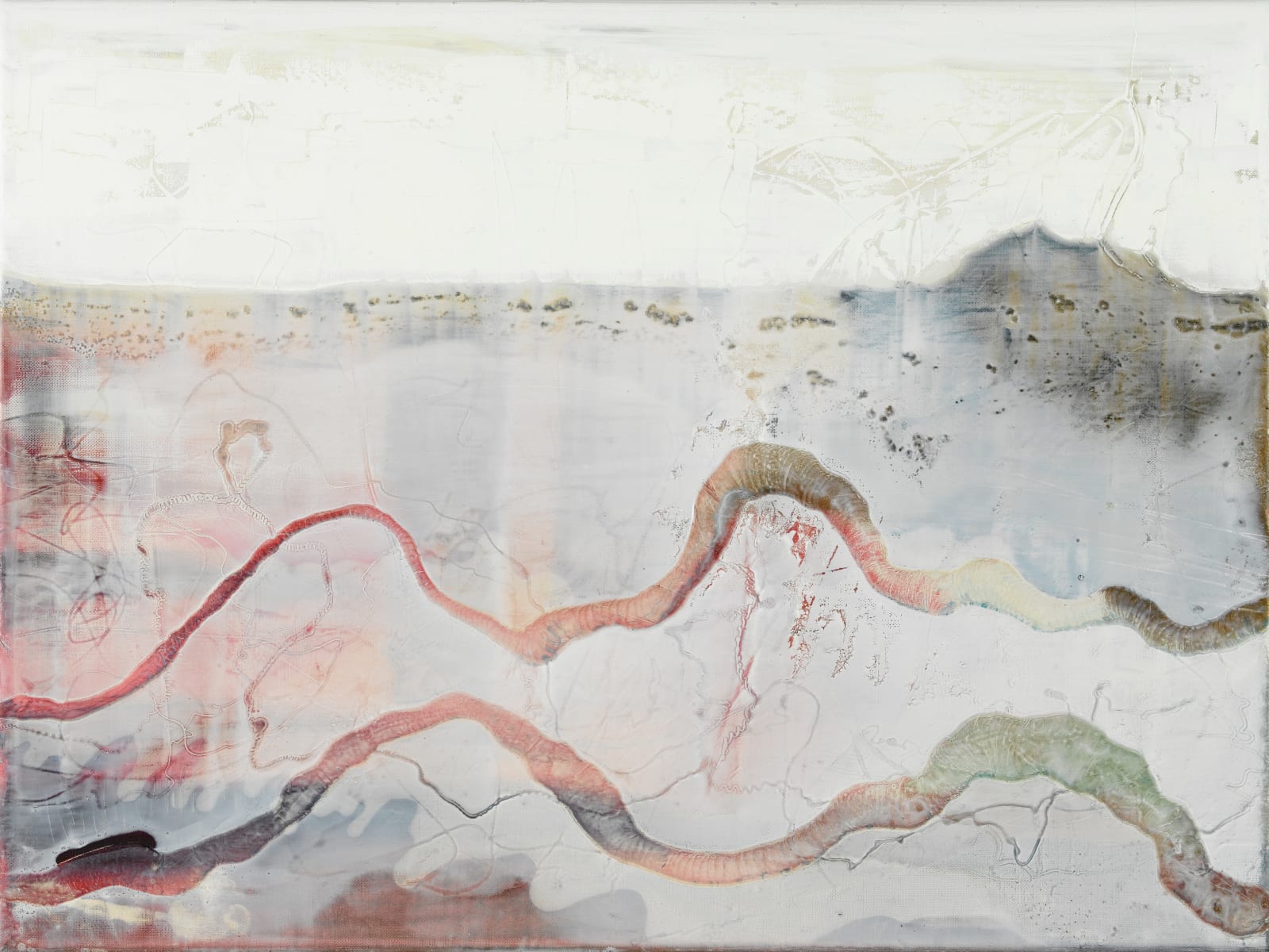Jessica Zoob, Story Lines , 2016