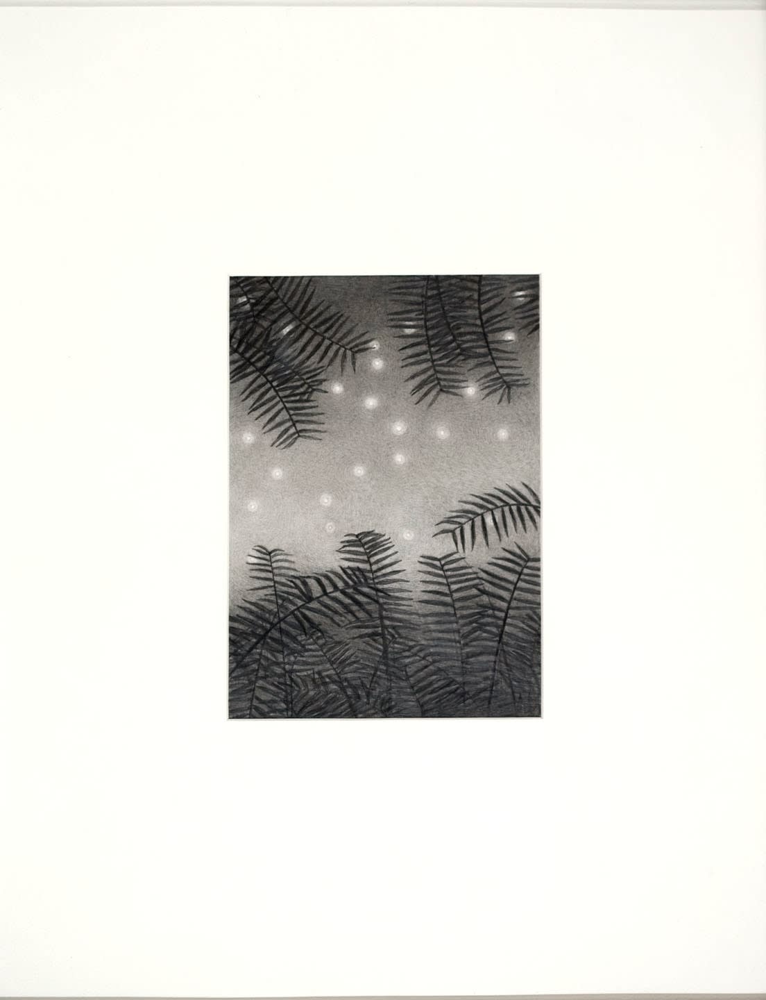 Jared FitzGerald, Drawing Collection; Starry Sky, 1977