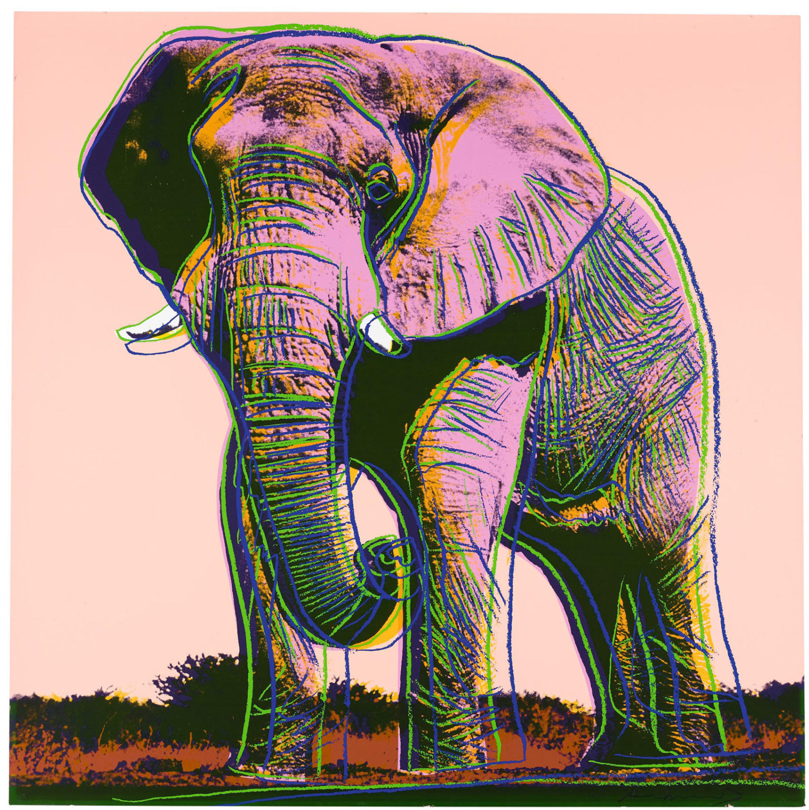 Andy Warhol, African Elephant from Endangered Species, 1983