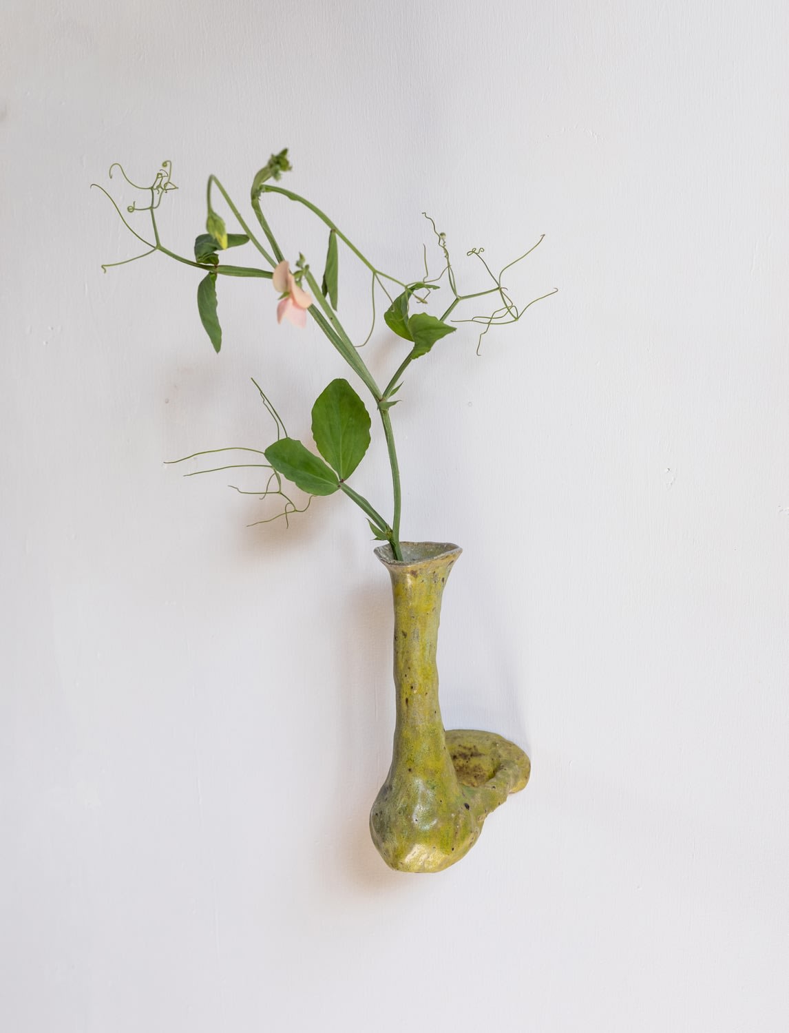 Jaime Jenkins Aotearoa Art Fair