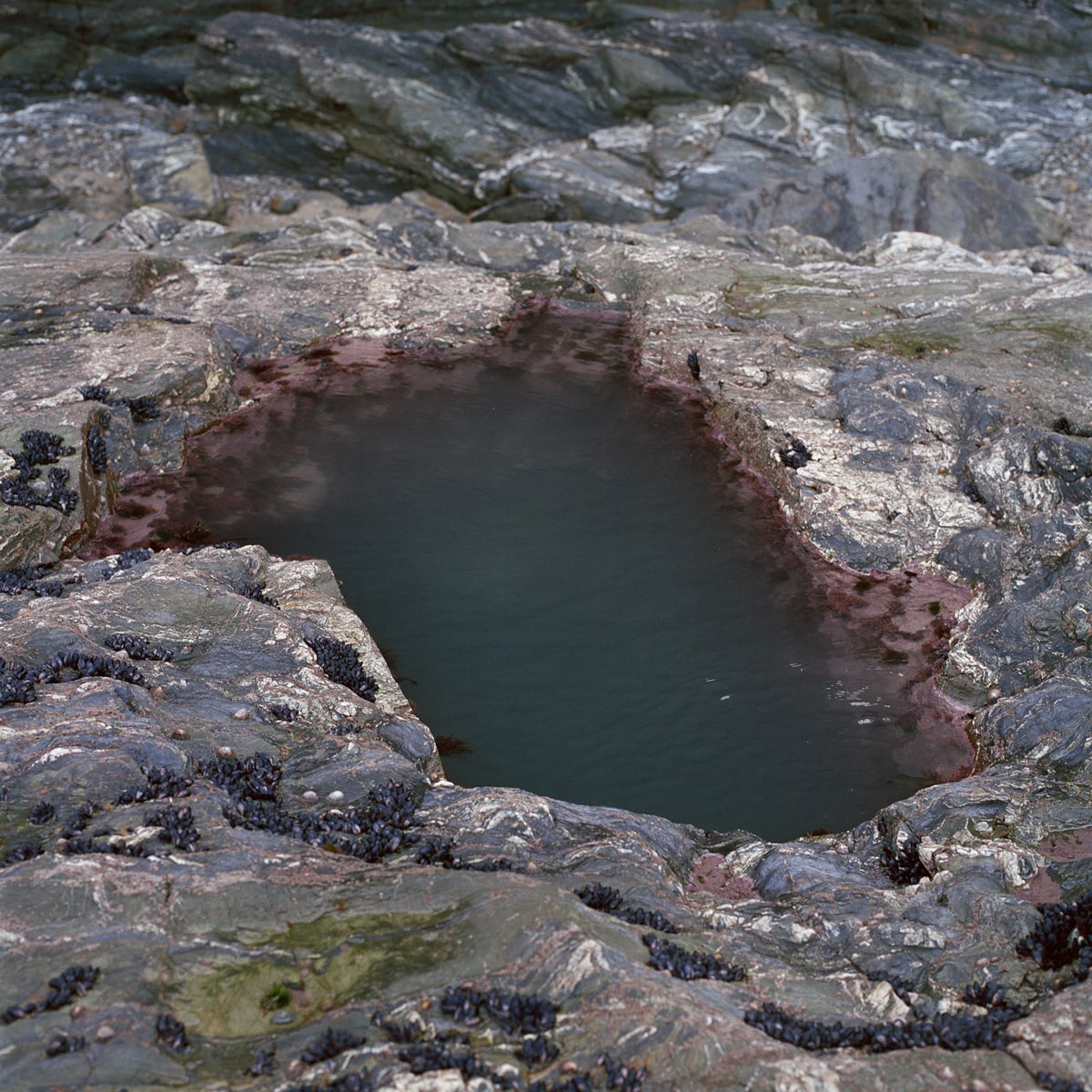 Jhana Millers Art Gallery Wellington Caroline McQuarrie