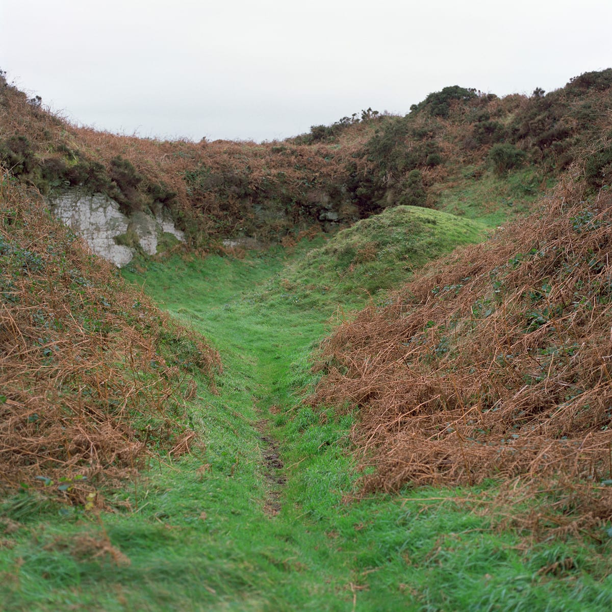 Jhana Millers Art Gallery Wellington Caroline McQuarrie