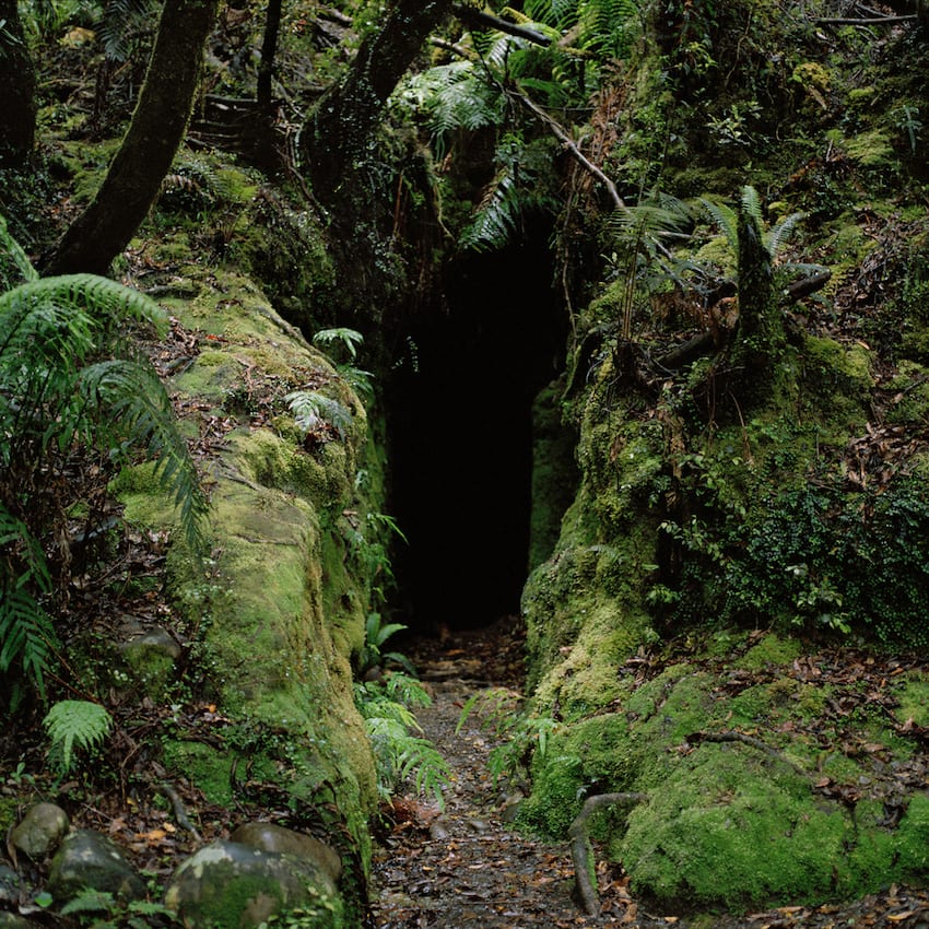 Jhana Millers Art Gallery Wellington Caroline McQuarrie