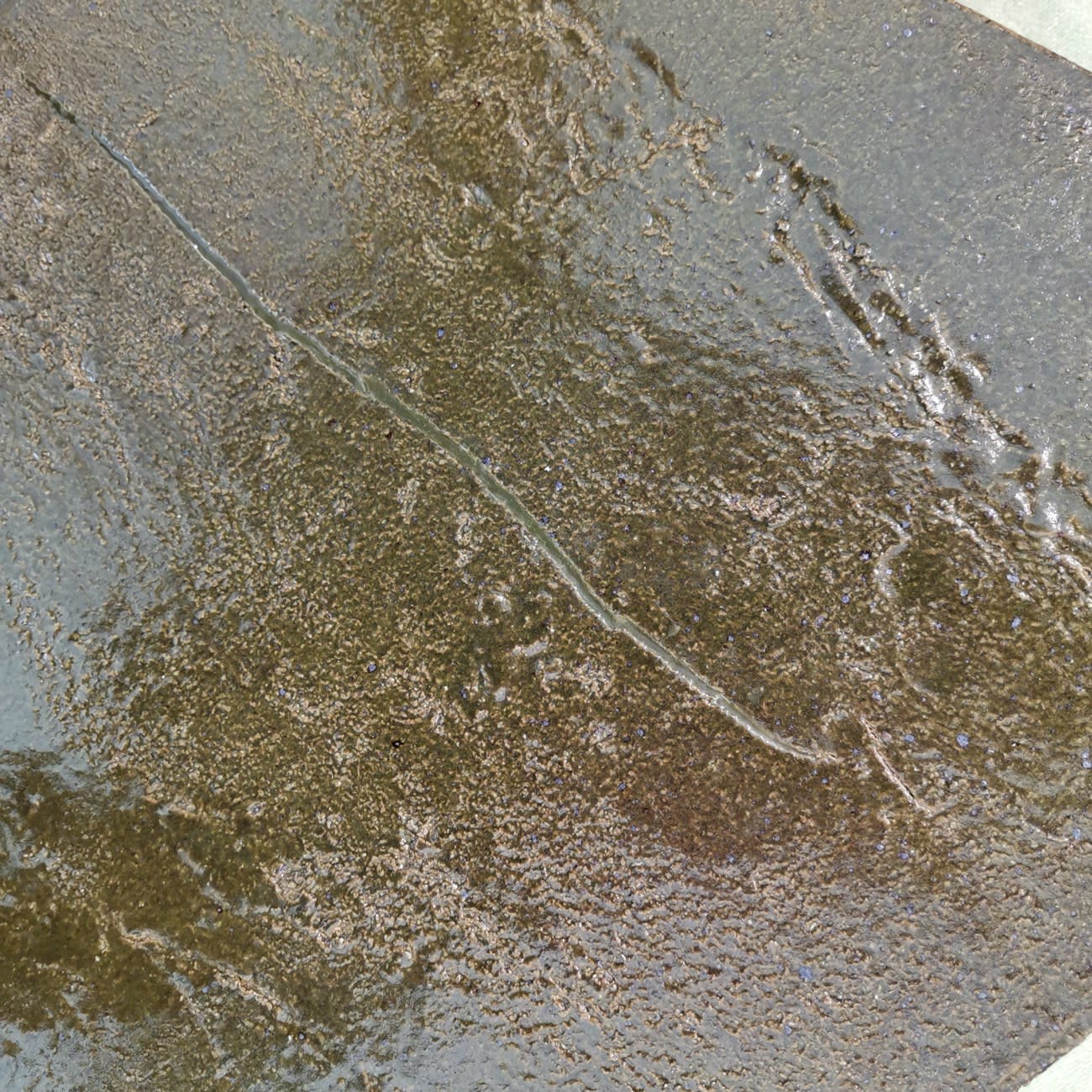 Jaime Jenkins Aotearoa Art Fair