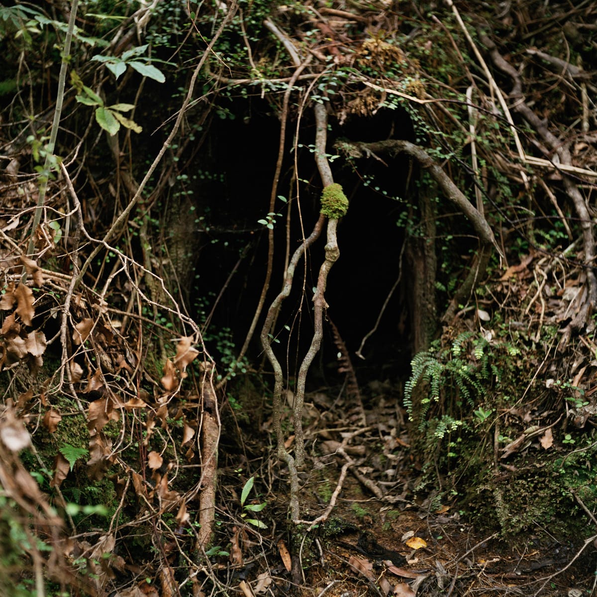 Jhana Millers Art Gallery Wellington Caroline McQuarrie