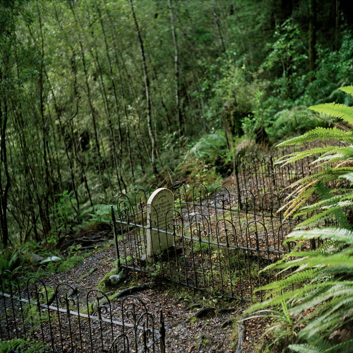 Jhana Millers Art Gallery Wellington Caroline McQuarrie