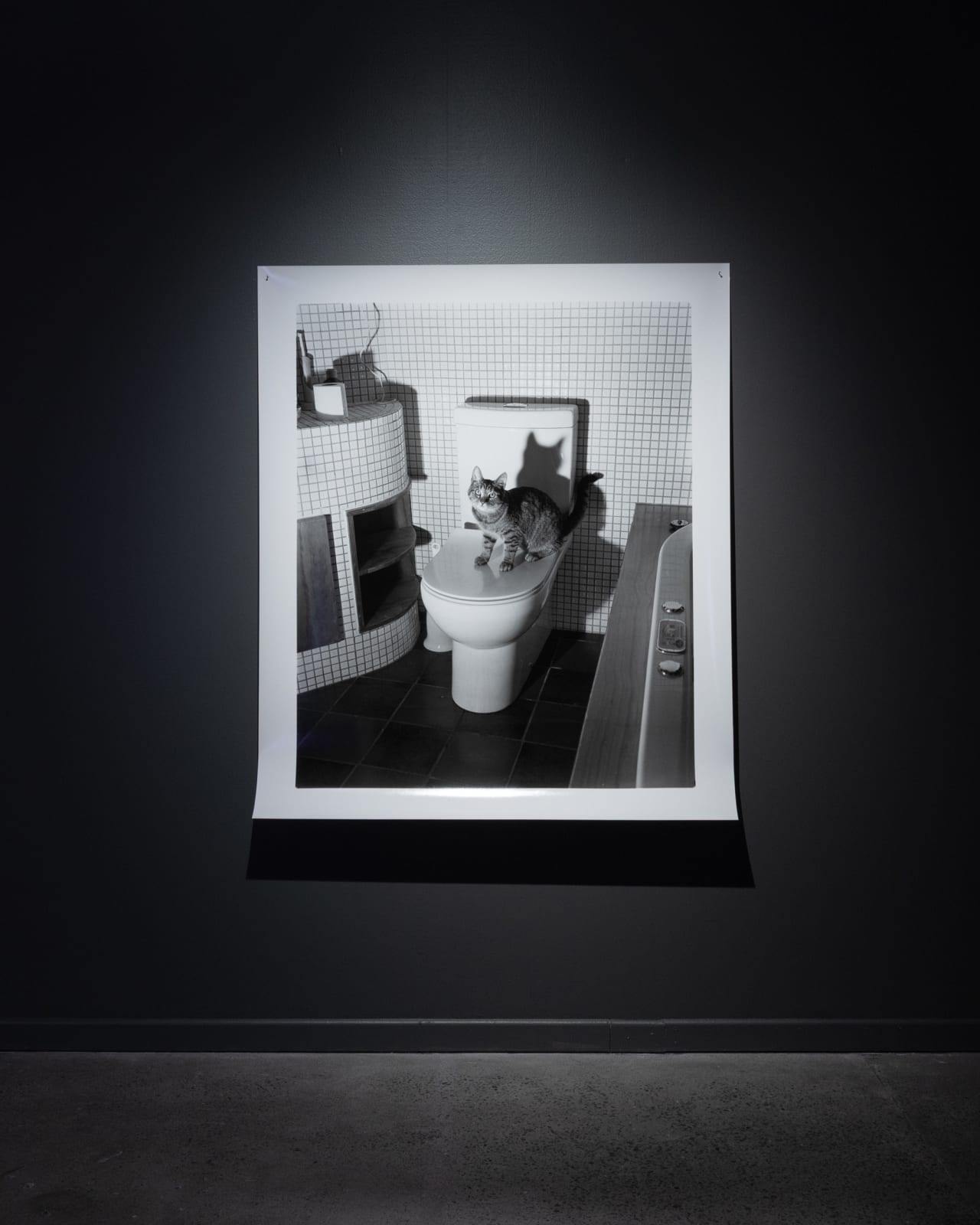 Harry Culy Jhana Millers Gallery