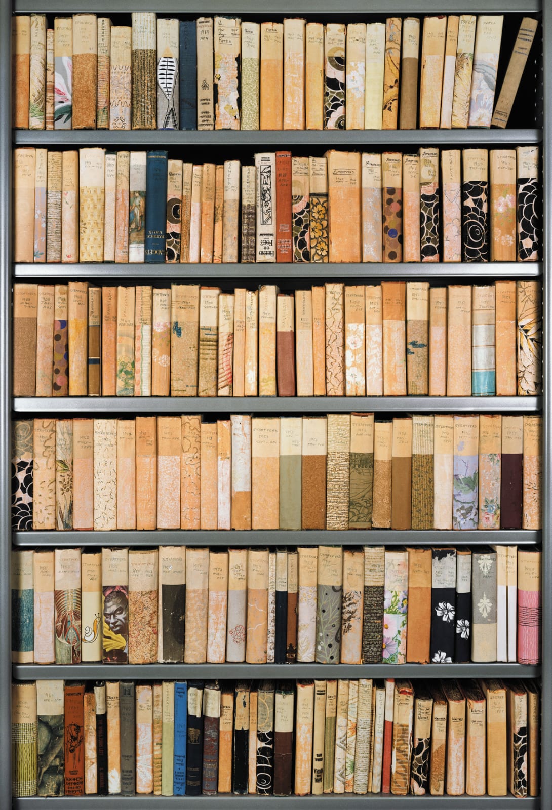 Ann Shelton Jhana Millers Gallery