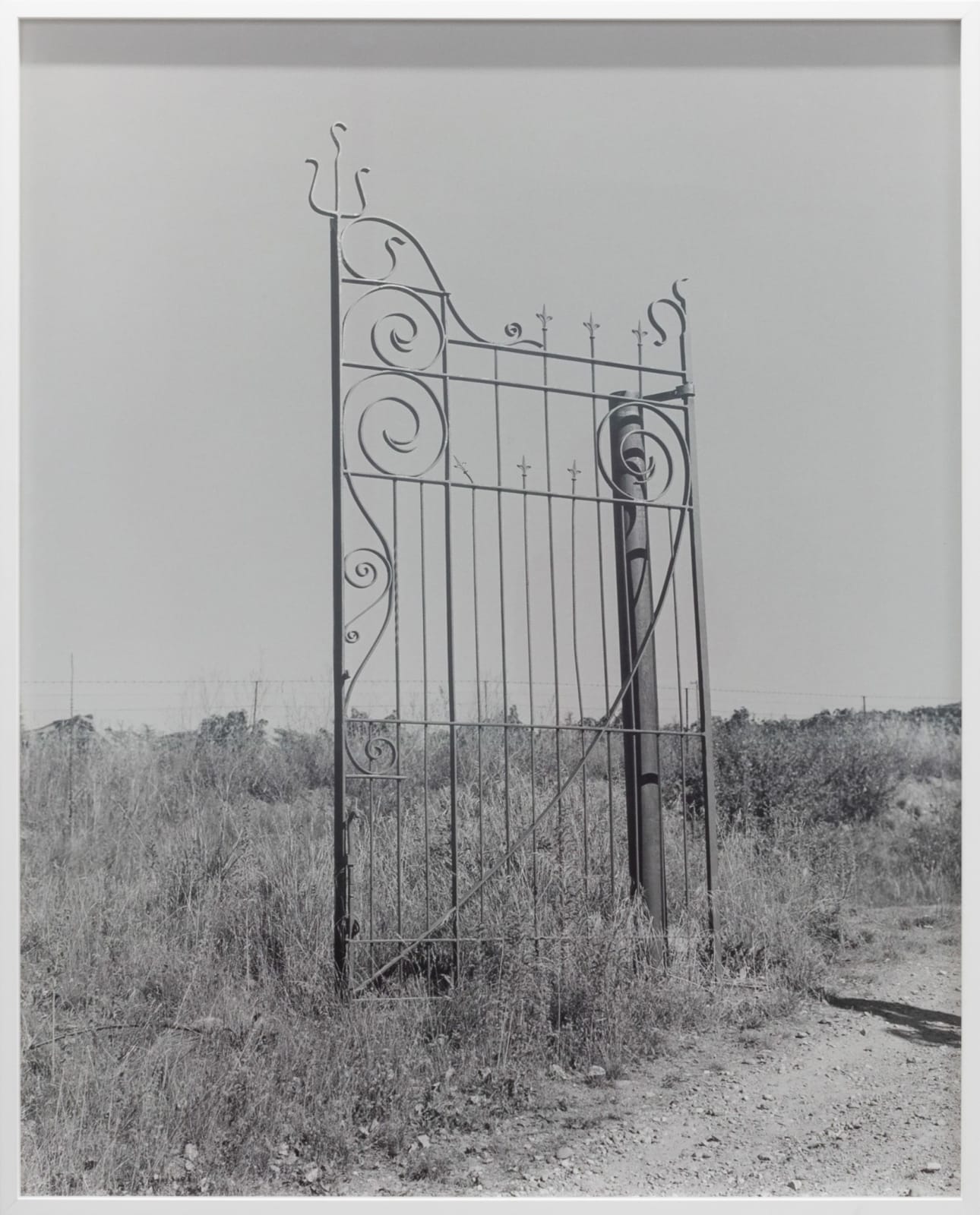 Harry Culy Jhana Millers Gallery