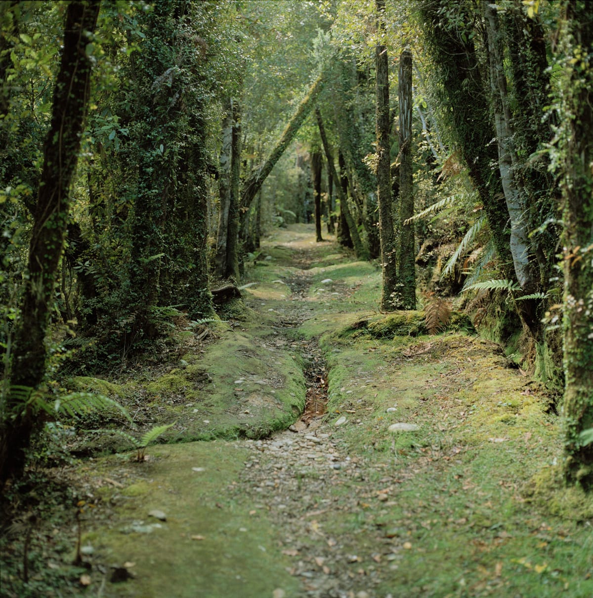 Jhana Millers Art Gallery Wellington Caroline McQuarrie