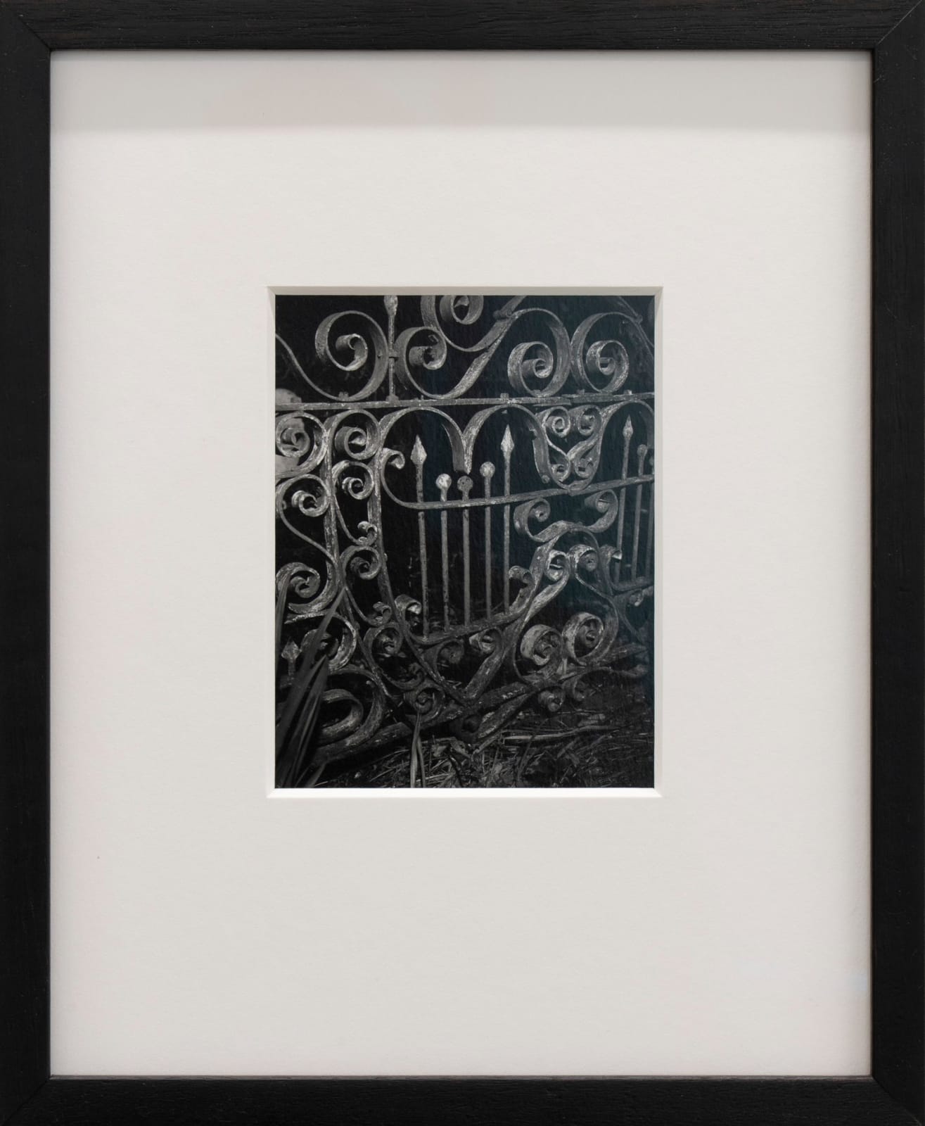 Harry Culy Jhana Millers Art Gallery Wellington