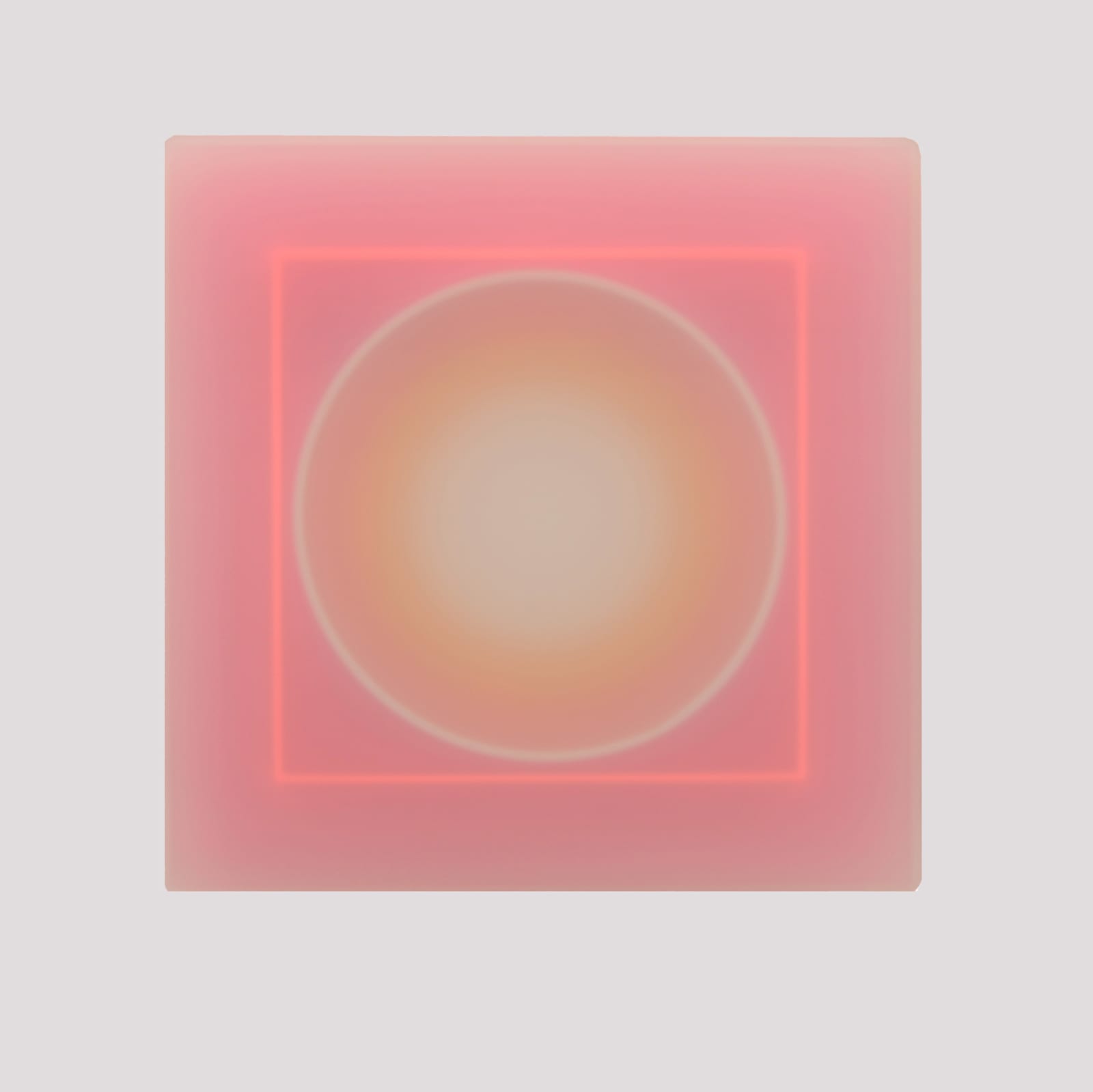 Kāryn Taylor Jhana Millers Art Gallery Wellington