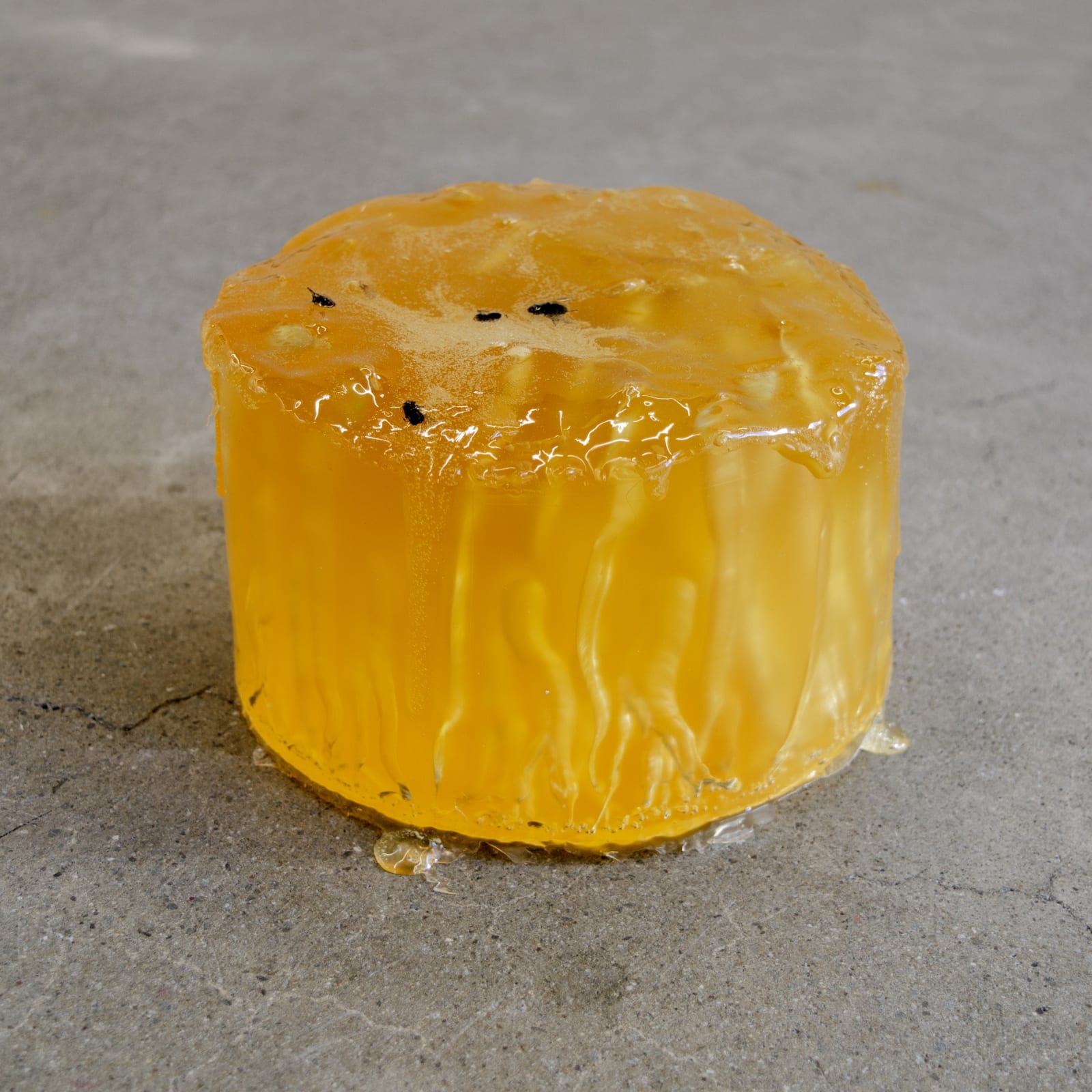 Caitlin Devoy Jhana Millers