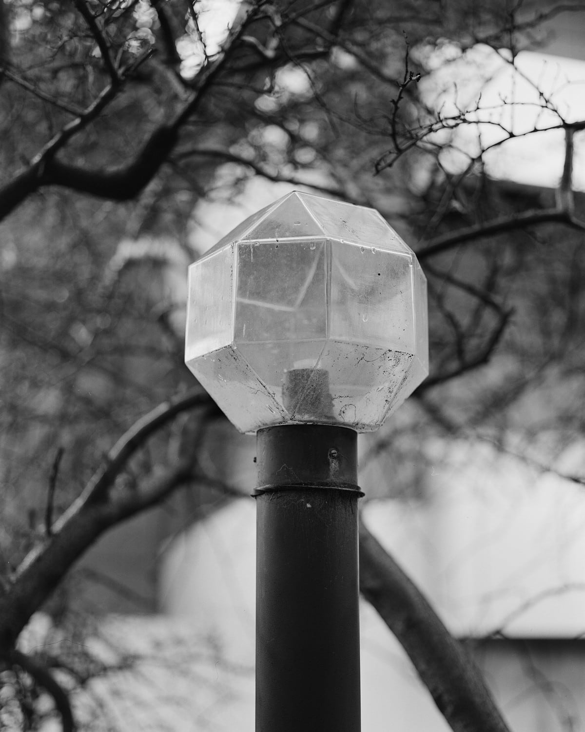 Jhana Millers Art Gallery Wellington Harry Culy