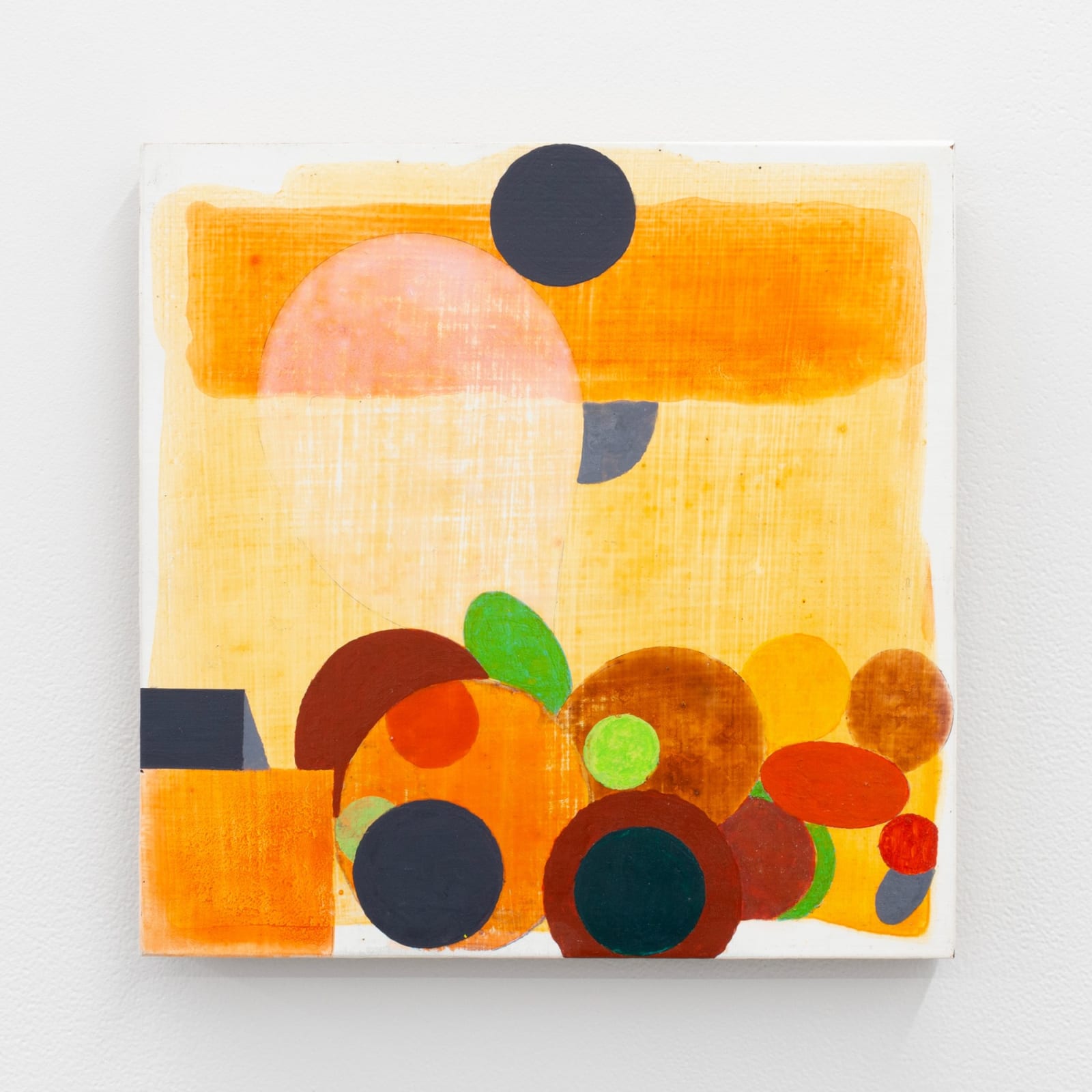 Denys Watkins, Primette, 2016