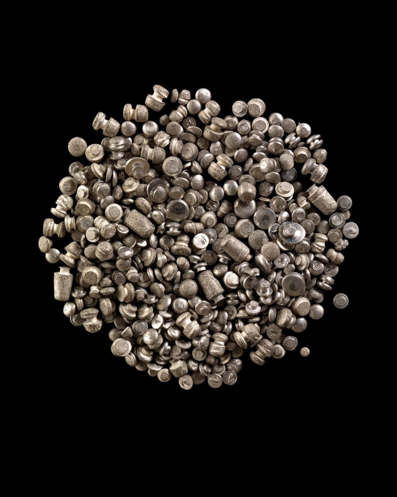 Ann Shelton Jhana Millers Gallery