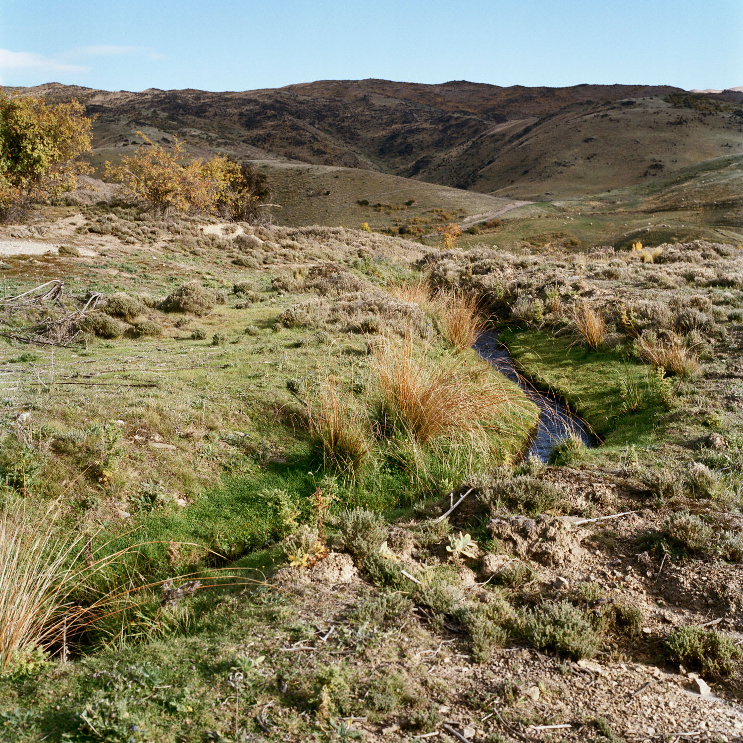 Jhana Millers Art Gallery Wellington Caroline McQuarrie