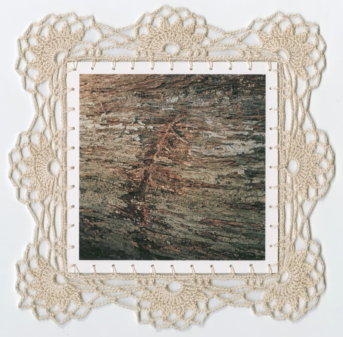 Jhana Millers Art Gallery Wellington Caroline McQuarrie