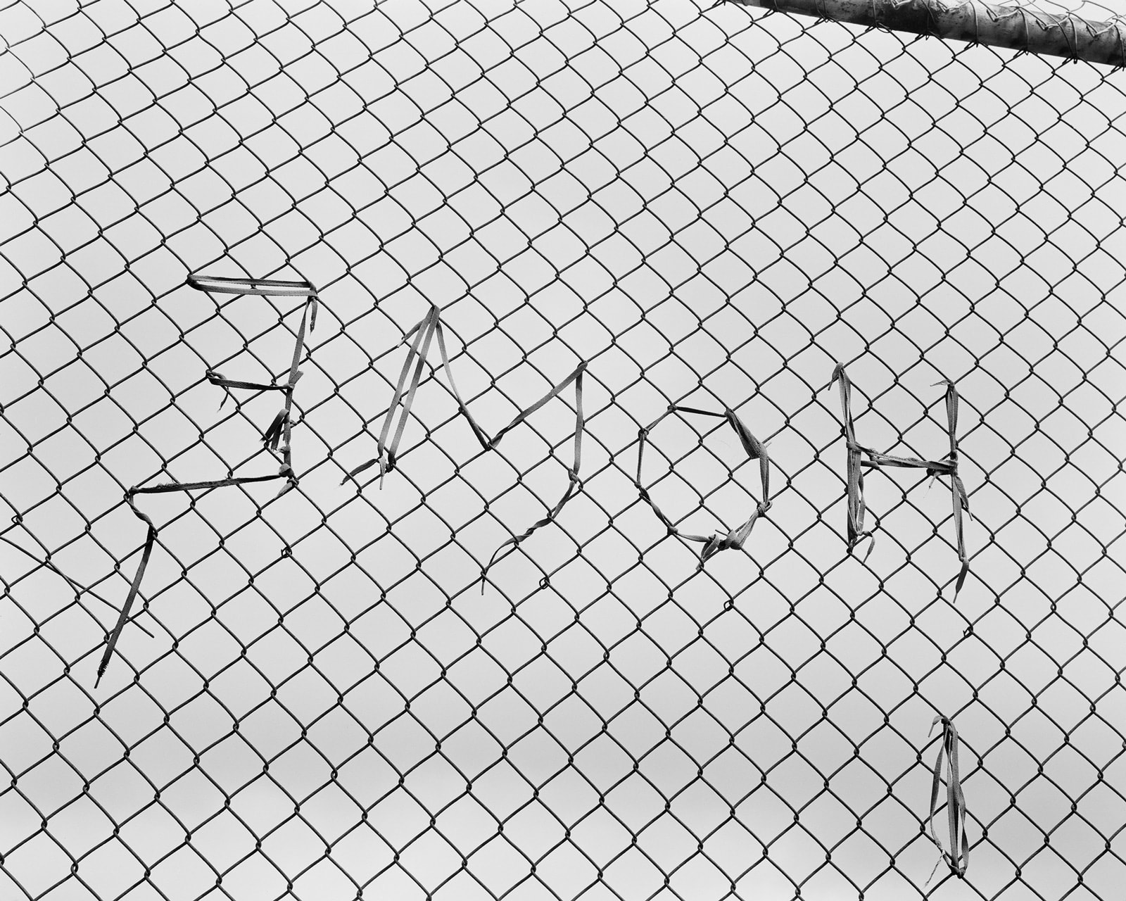 Harry Culy Jhana Millers Art Gallery Wellington