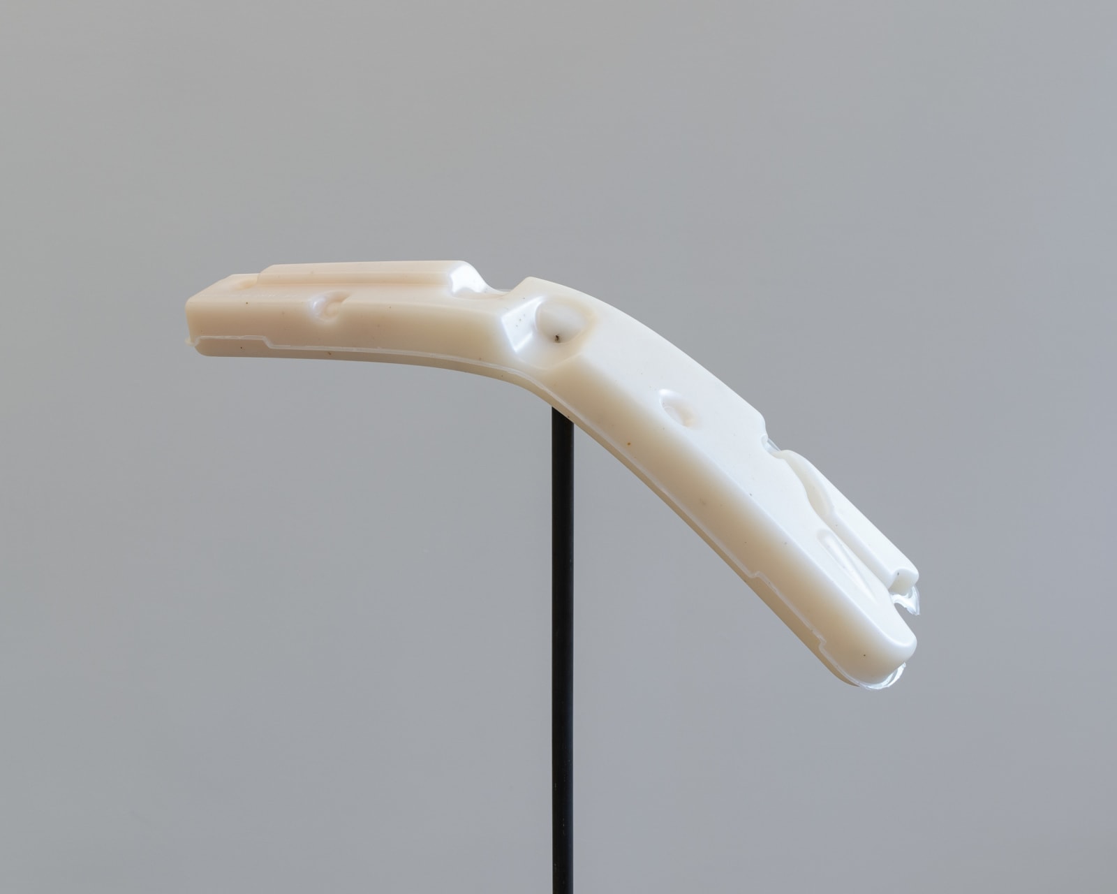 Caitlin Devoy, Venom (freestanding), 2025