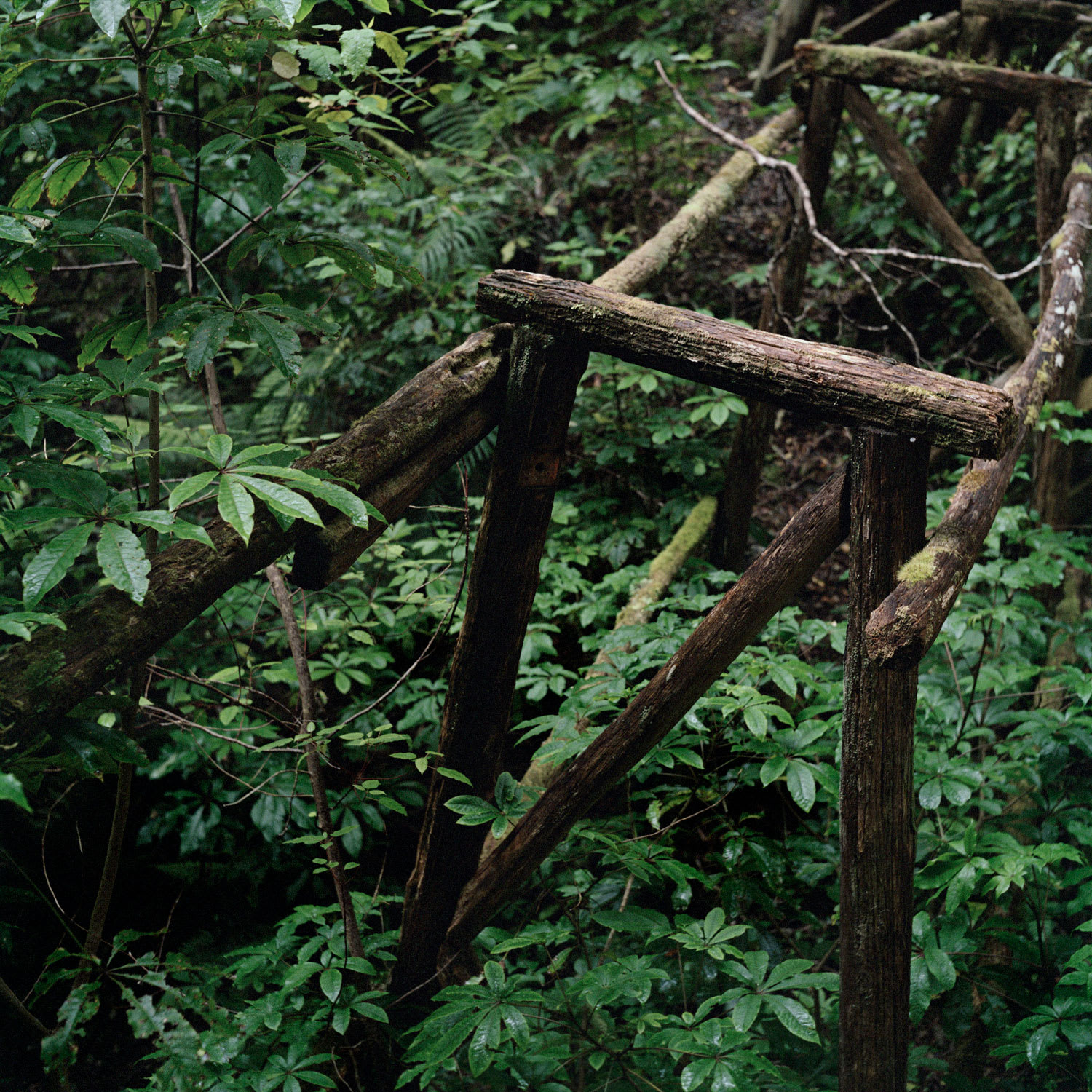 Jhana Millers Art Gallery Wellington Caroline McQuarrie