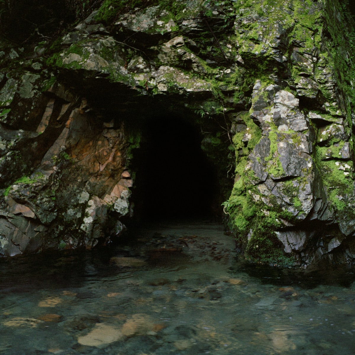 Jhana Millers Art Gallery Wellington Caroline McQuarrie