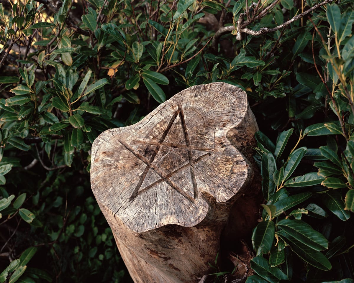 Jhana Millers Art Gallery Wellington Harry Culy