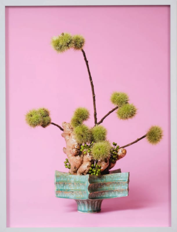 Ann Shelton Jhana Millers Gallery