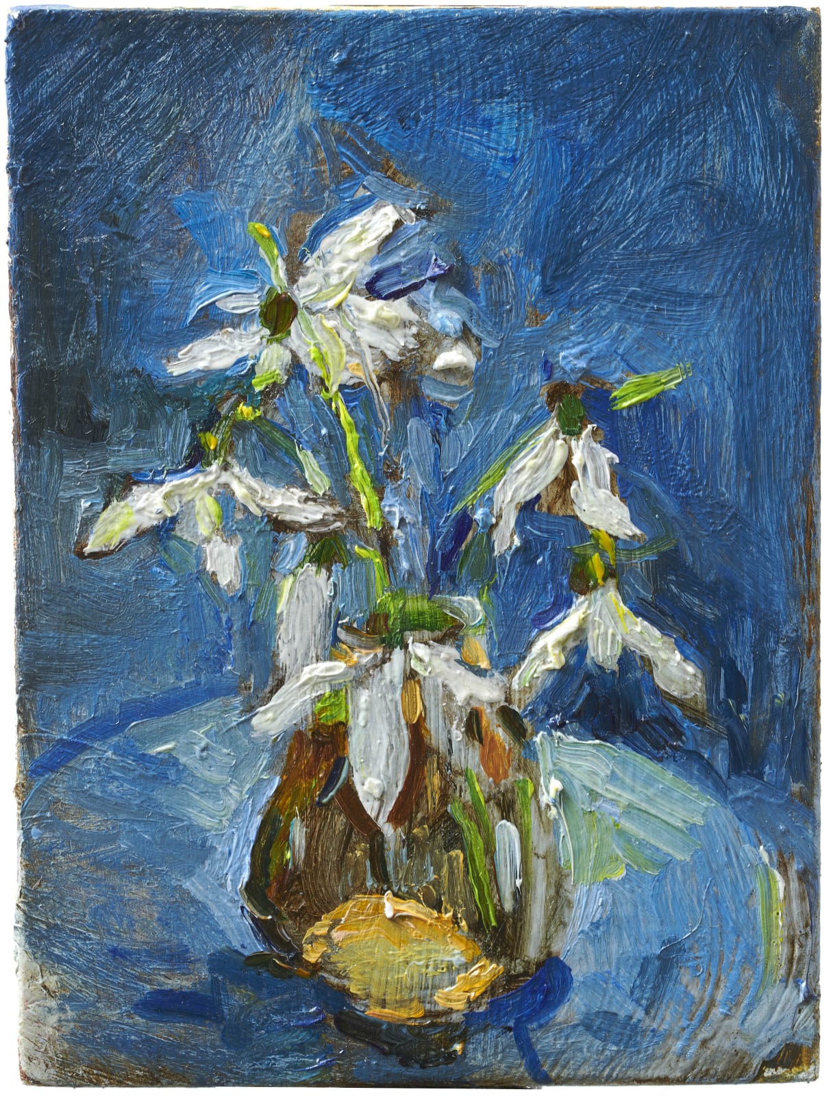 Melita Denaro, Snowdrops from the Isle, A young fox walked right up to my bedside, March, 2020