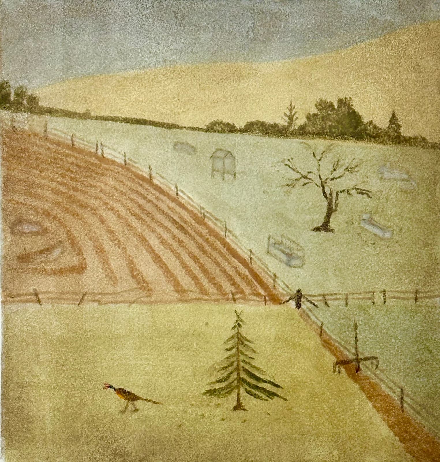 Greg Becker, Divided Fields, 2023