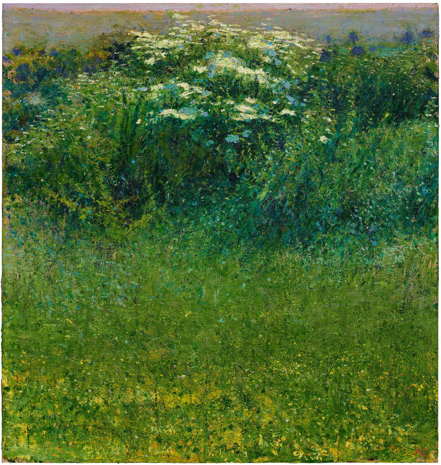 Andrew Gifford, Elder & Birdsfoot Trefoil, Sheepcote Valley Sussex, 2022
