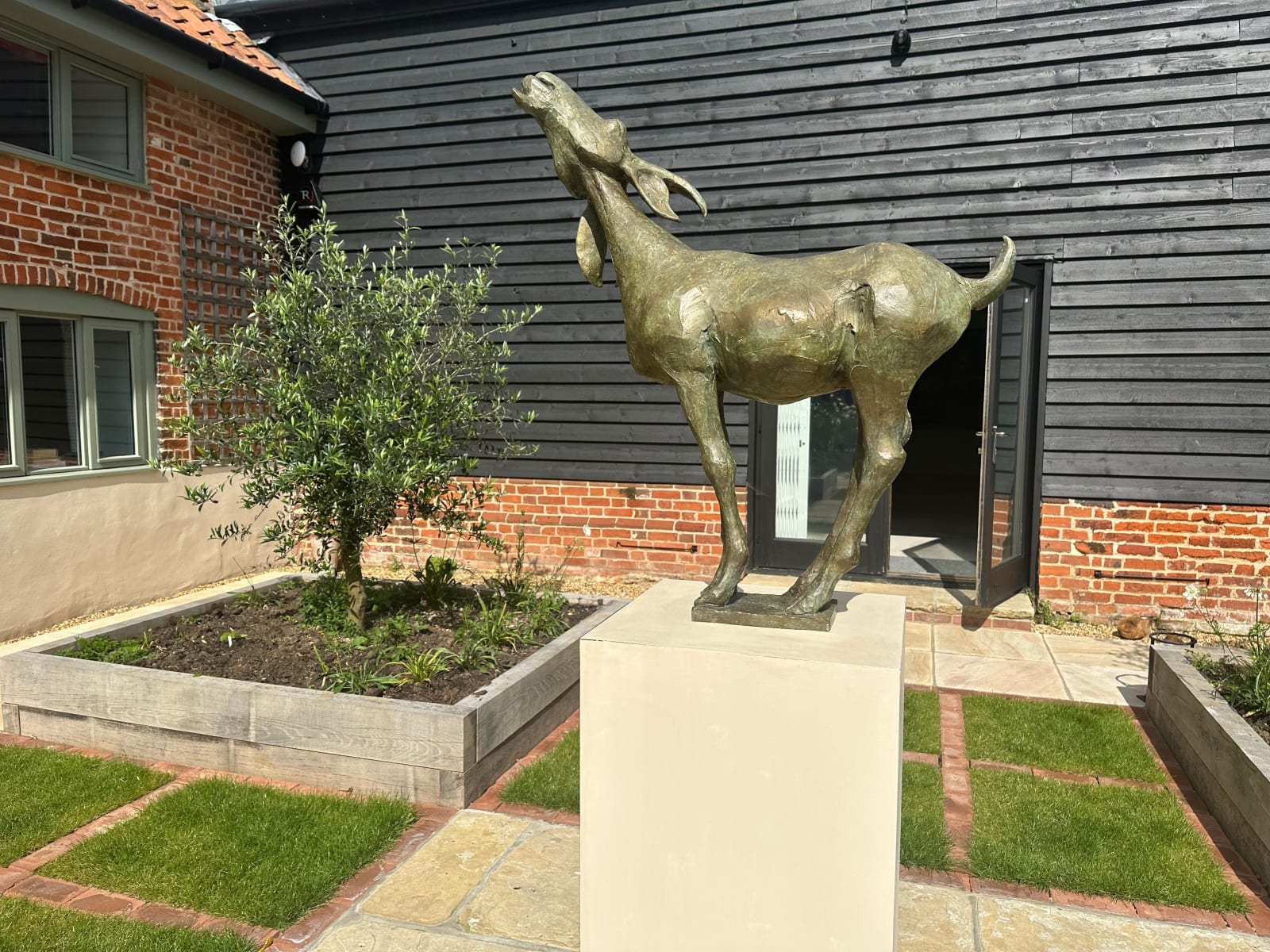 Olivia Musgrave, The Andros Goat, 2019