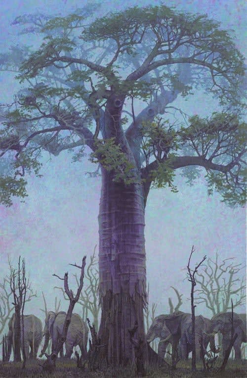 Francis Hamel, Baobab with Elephants, South Luangwa, Zambia, 2017