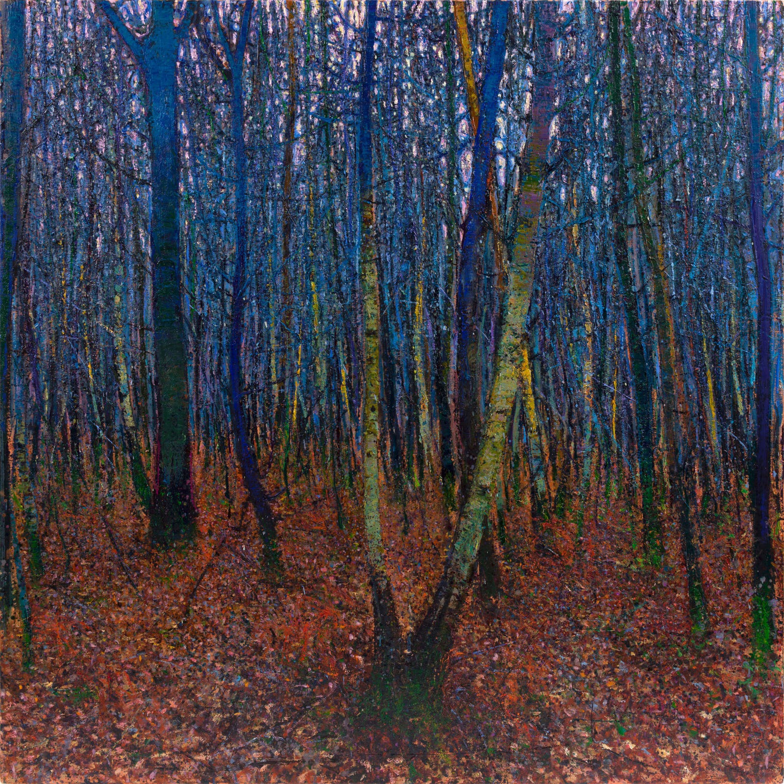 Andrew Gifford, Winter Birches near Laughton, Sussex, 2023