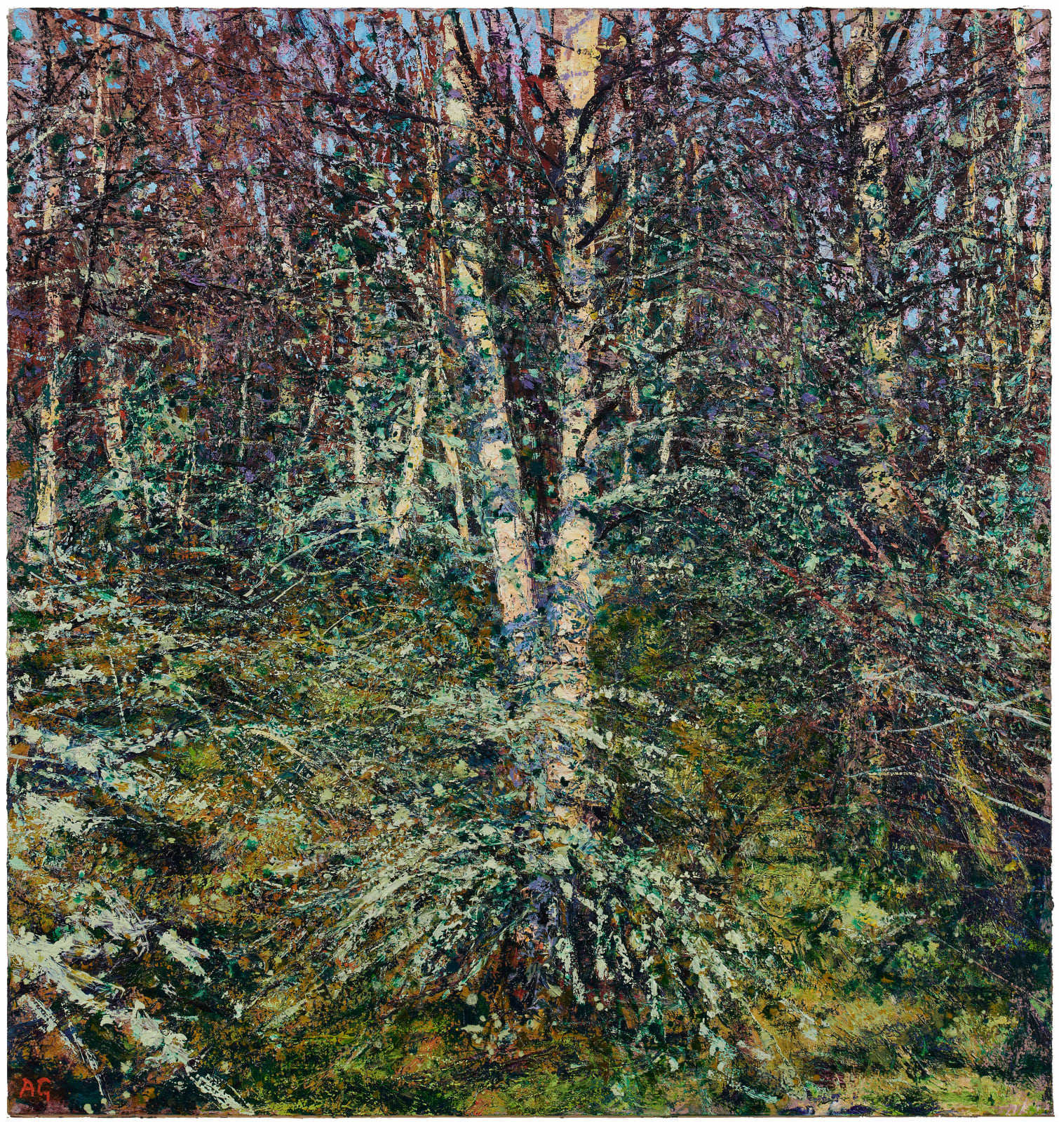 Andrew Gifford, Silver Birch and Lichen near Kinord Aberdeenshire, 2022