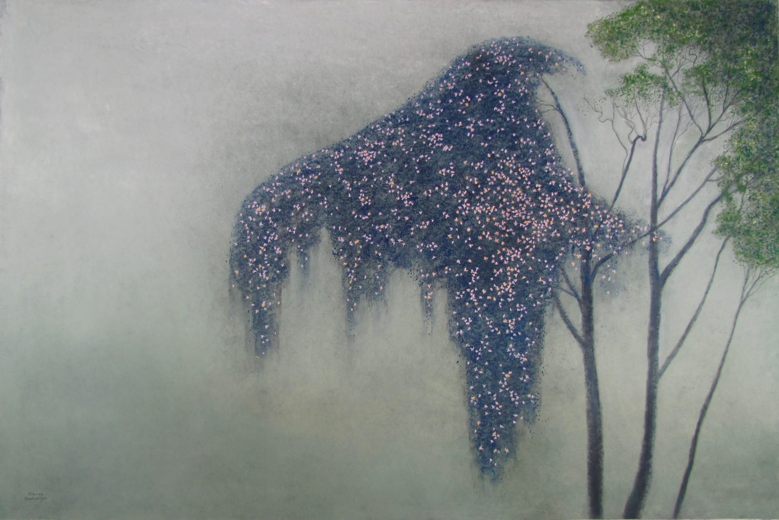 Richard Cartwright, The Clematis