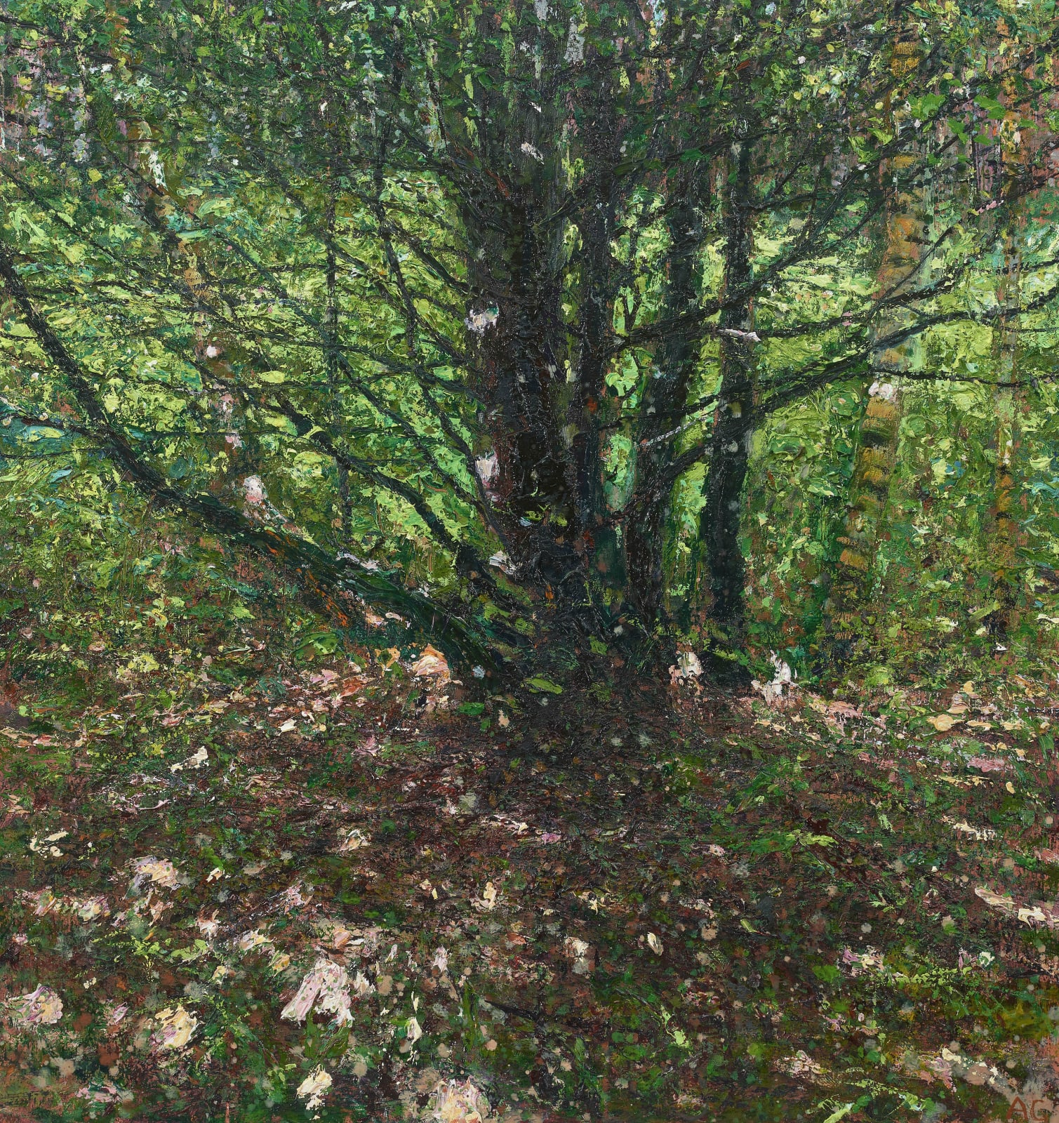Andrew Gifford, 28. Hornbeam and Silver Birch, Sussex, Summer, 2021