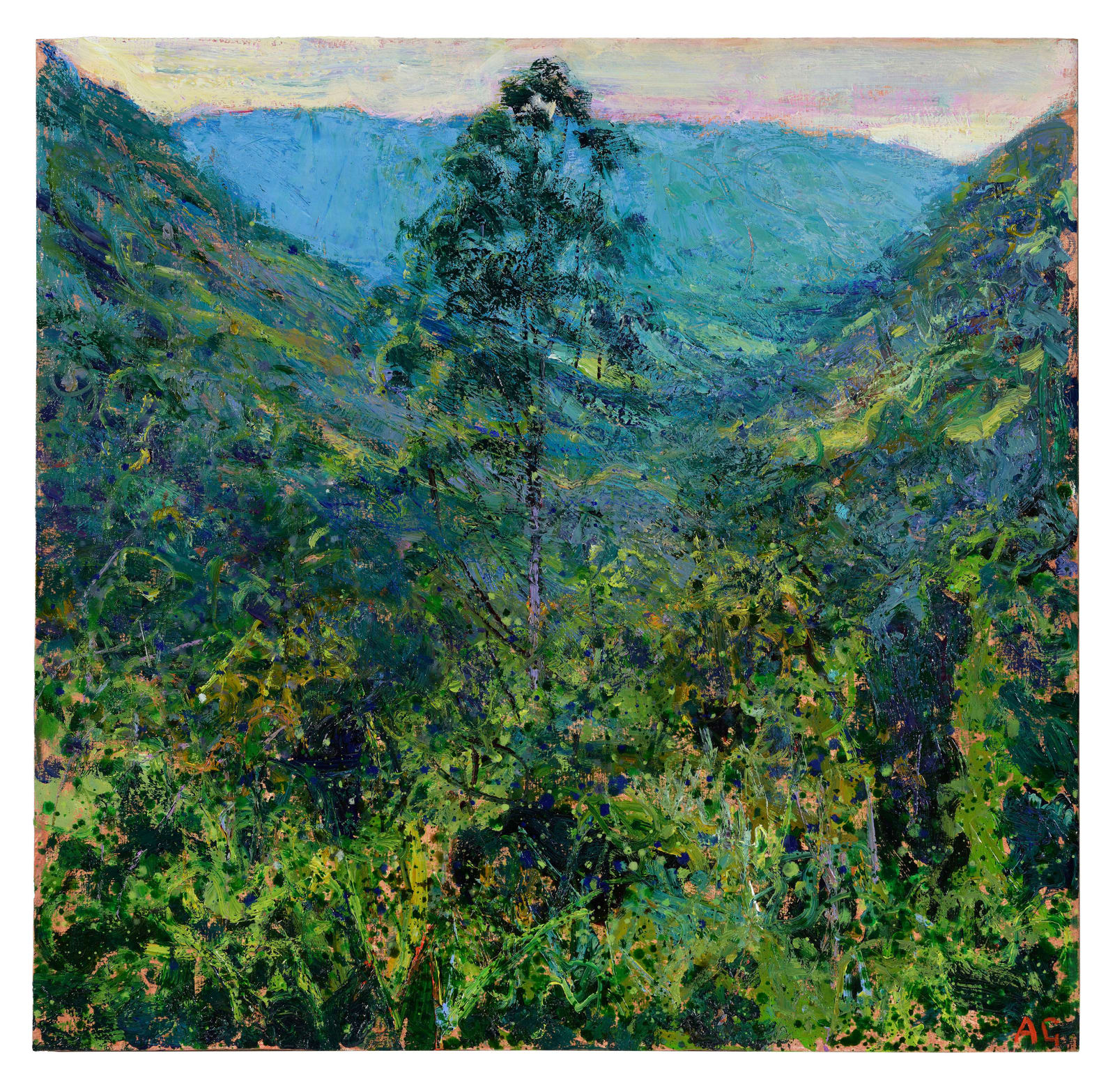 Andrew Gifford, Valley Monteverde, 2025