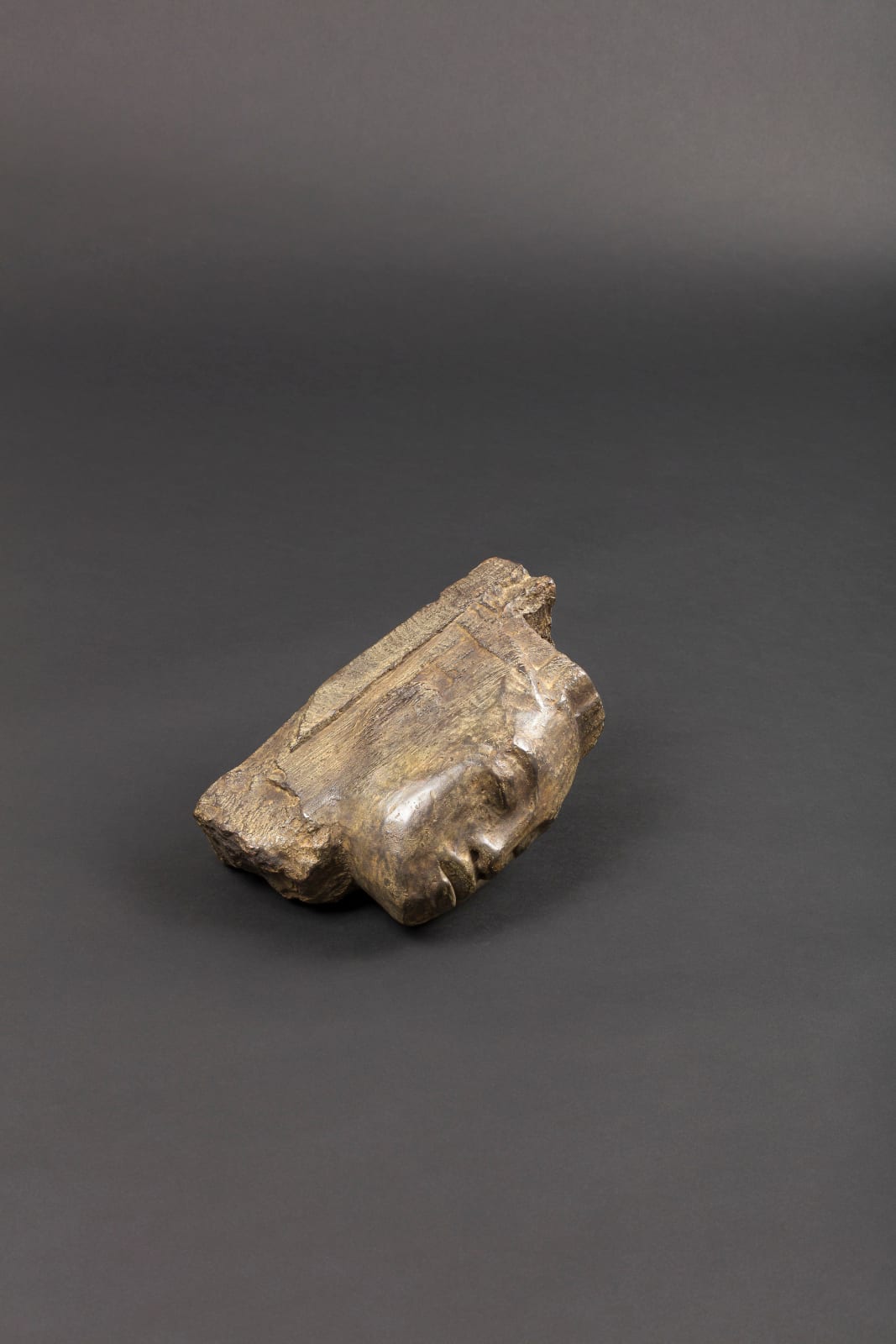 Deborah Bell, Sentinel Fragment VI Ed 5/12, 2020