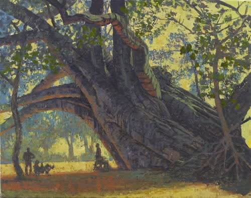 Francis Hamel, Baobab in Nyamununga Village, Mfuwe, Zambia, 2017