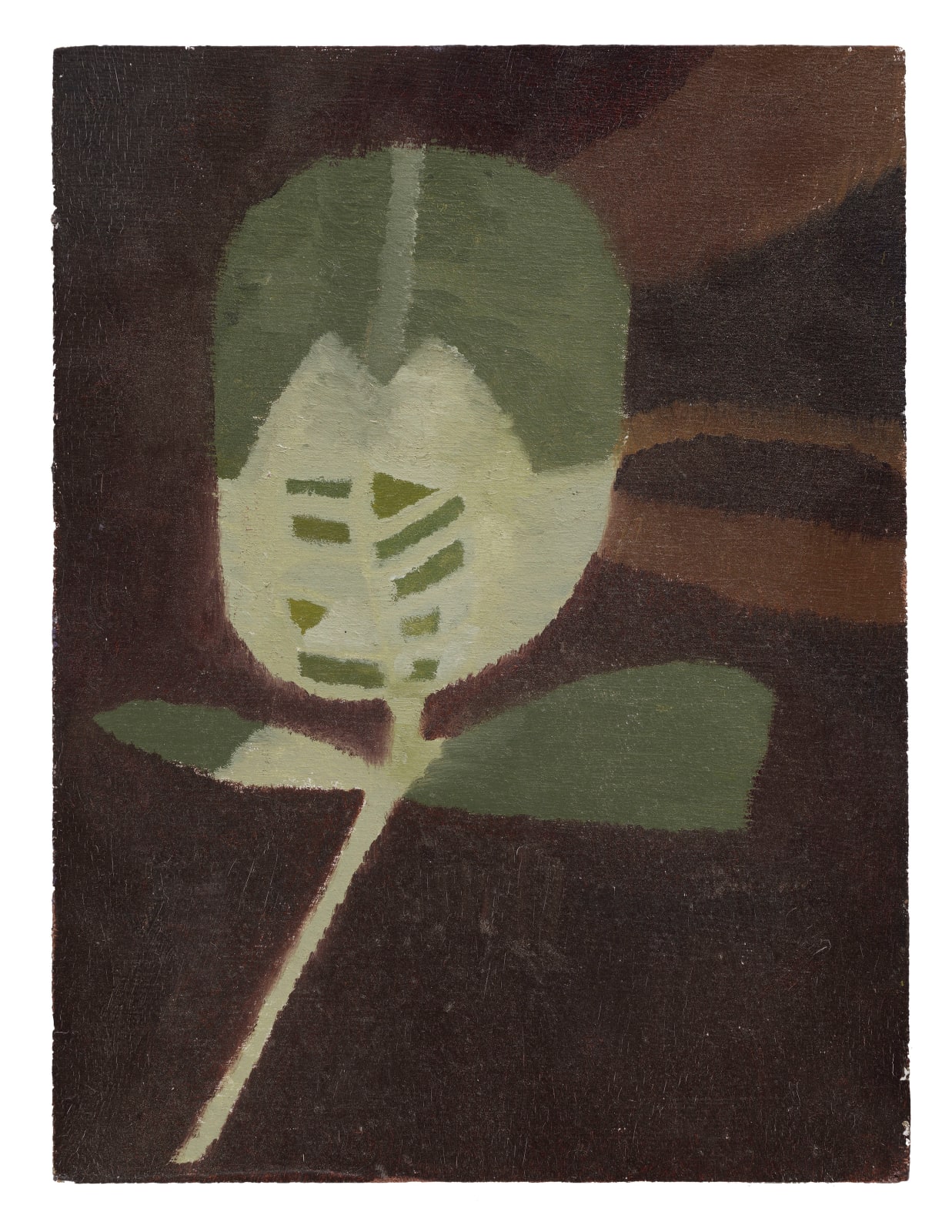 Lucy Gogoliuk, Clover, 2025