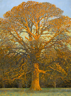 Francis Hamel, Oak Tree at Dawn, 2025