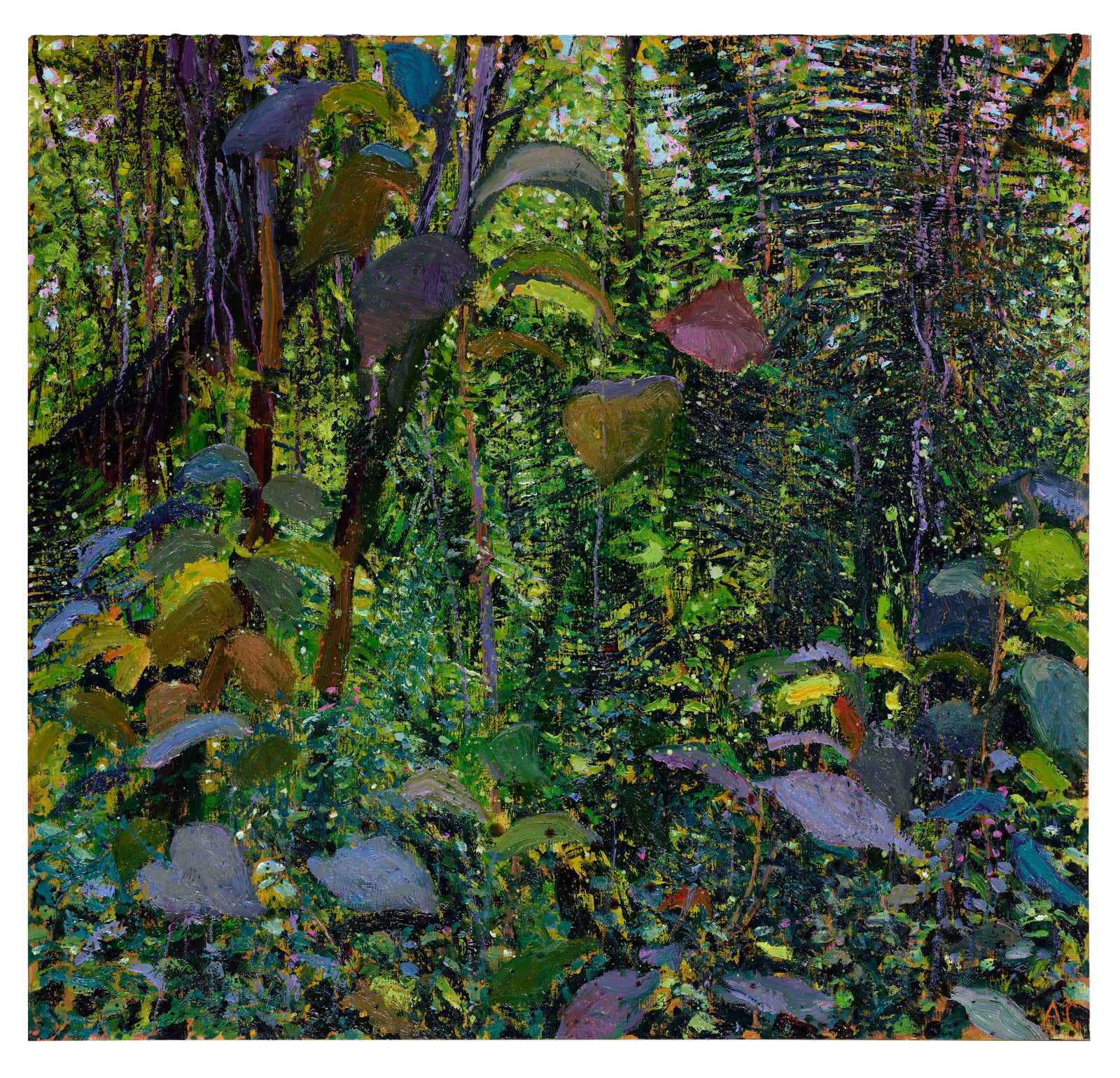 Andrew Gifford, Jungle with Purple Leaves, Nicoya, 2025